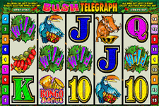 Bush Telegraph Slot Machine