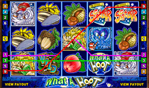 The What A Hoot Slot Slot Machine