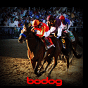 Featured Sportsbook