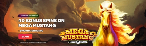 Spin Casino 40 Spins on Mega Mustang