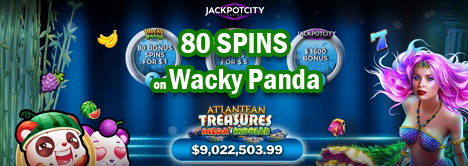 Microgaming Casino Jackpot City