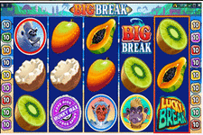 Big-Break-Slot