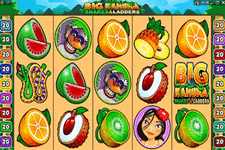 Big-Kahuna-Snakes-and-Ladders-Slot