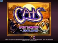 cats small