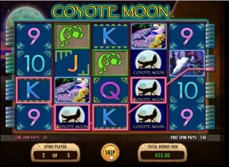 coyote moon 2