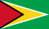 guyana-flag