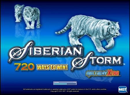 siberian storm 1