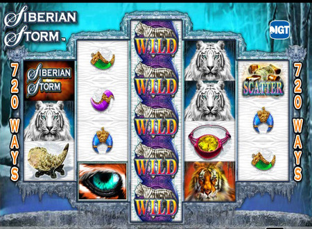 siberian storm 2