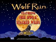 wolf run small